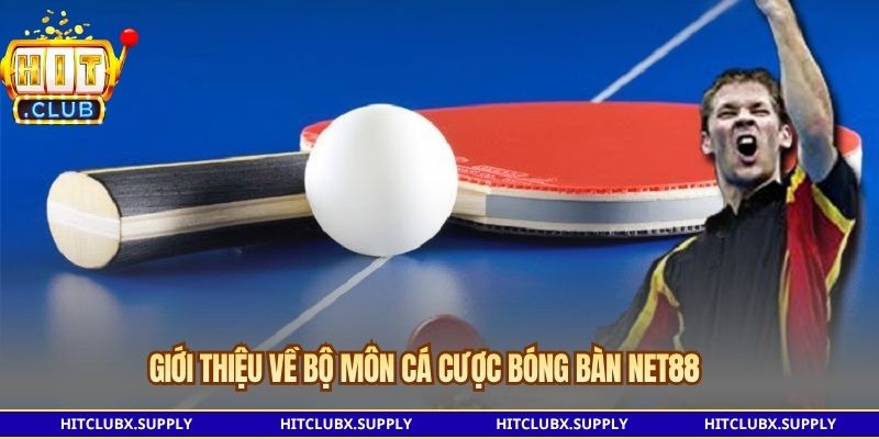 Luật tính điểm khi cá cược bóng bàn NET88